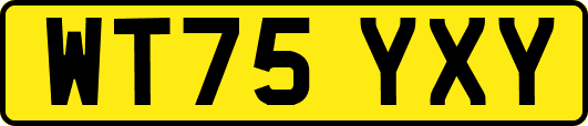 WT75YXY
