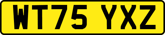 WT75YXZ