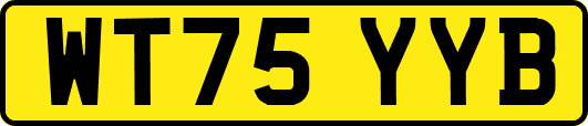 WT75YYB