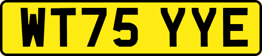 WT75YYE