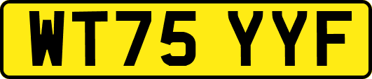 WT75YYF