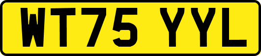 WT75YYL