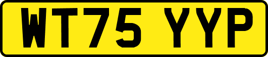 WT75YYP
