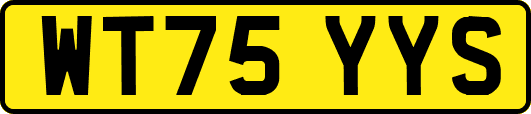 WT75YYS