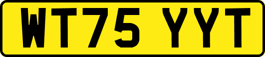 WT75YYT
