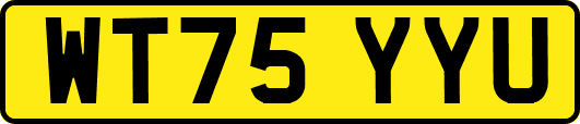 WT75YYU