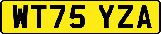 WT75YZA