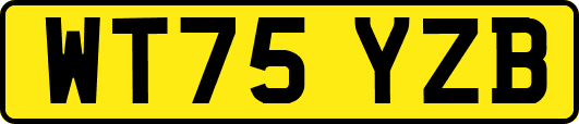 WT75YZB