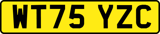 WT75YZC