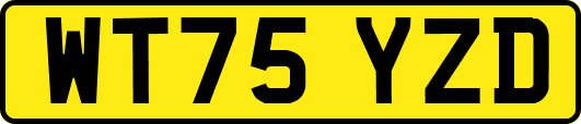 WT75YZD