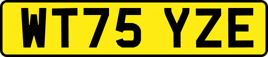 WT75YZE