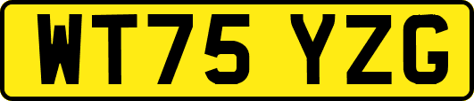 WT75YZG