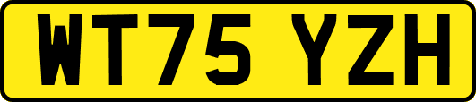 WT75YZH
