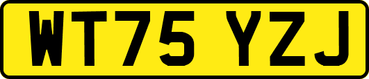 WT75YZJ
