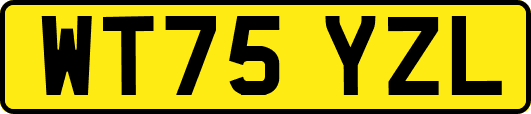 WT75YZL