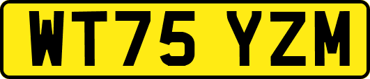 WT75YZM