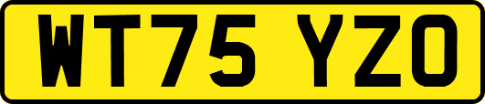 WT75YZO