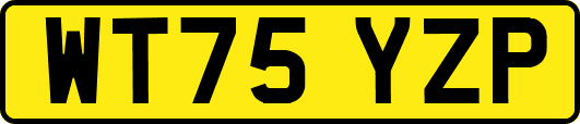 WT75YZP