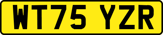 WT75YZR