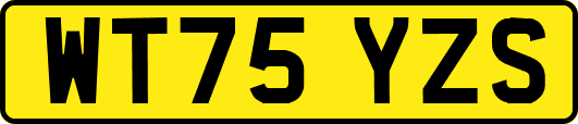 WT75YZS