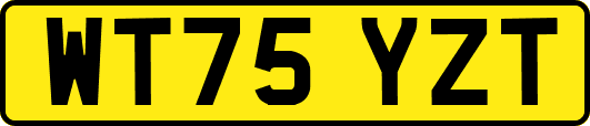 WT75YZT