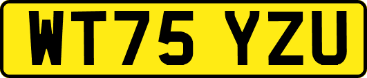 WT75YZU