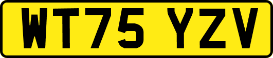 WT75YZV