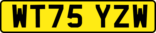 WT75YZW