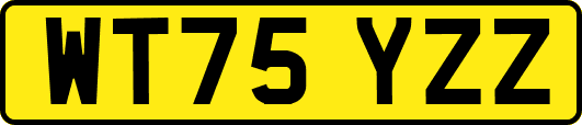 WT75YZZ