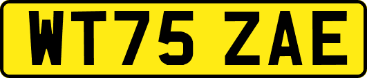 WT75ZAE