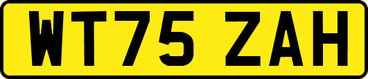 WT75ZAH