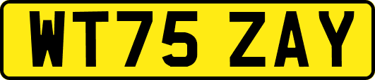 WT75ZAY