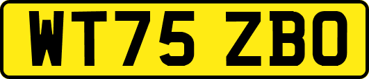 WT75ZBO