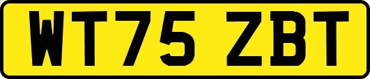 WT75ZBT