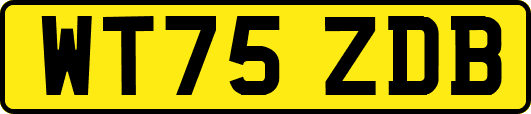 WT75ZDB