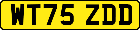 WT75ZDD