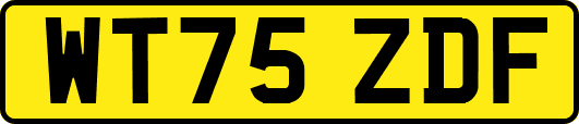 WT75ZDF