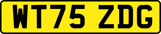 WT75ZDG