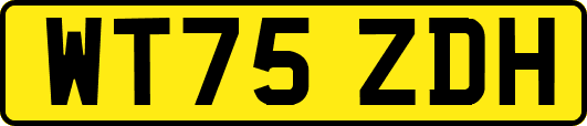 WT75ZDH