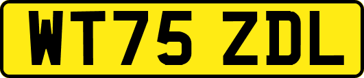 WT75ZDL