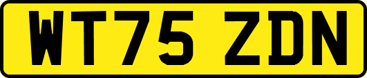 WT75ZDN