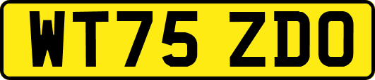 WT75ZDO