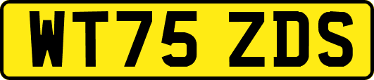 WT75ZDS