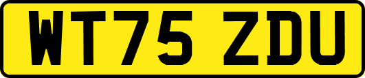 WT75ZDU