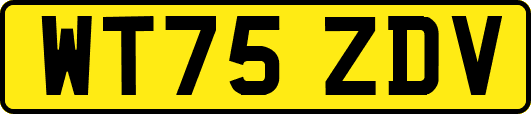 WT75ZDV