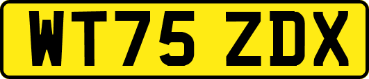 WT75ZDX