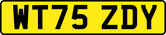 WT75ZDY