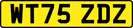 WT75ZDZ