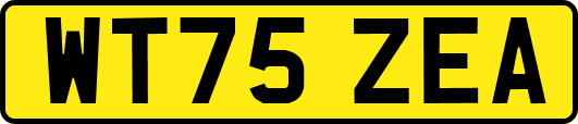 WT75ZEA