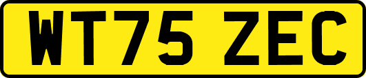 WT75ZEC